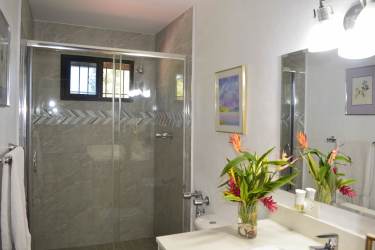 Tropical backyard with large private pool, palm trees and landscaped gardens in Coronado Panama real estate