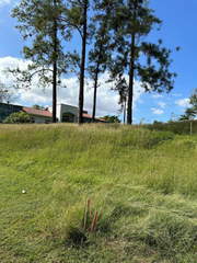 Residential Land for Sale in Chepo - 0 bedrooms