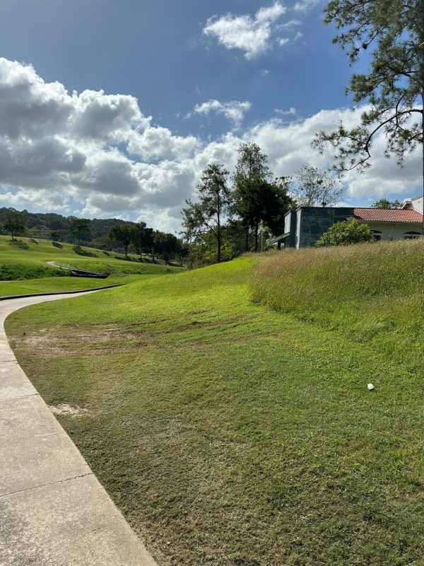 Grassy lot with pine trees in exclusive Club de Golf de Panamá residential community