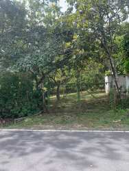 Flat residential land with fencing and greenery San Carlos Panama