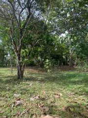 Land for Sale in San Carlos - 0 bedrooms
