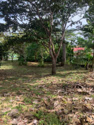 Tropical vegetation and large open area on fenced lot San Carlos Panama