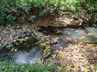 Natural stream surrounded by tropical greenery and rocks on Panama farmland Ollas Abajo