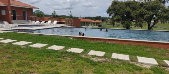 Outdoor pool surrounded by loungers and garden at PH El Celaje de la Colonia Panama