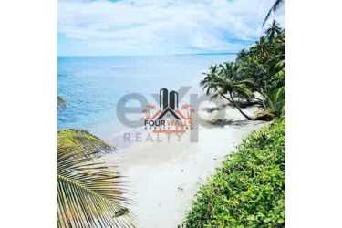 Oceanfront beach with calm Caribbean waters and palm trees at Arcadia Beach Resort Panama