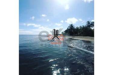 Sandy beach with clear Caribbean water and lush palm trees at Arcadia Beach Costa Abajo Panama