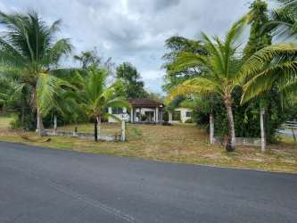 Palm trees and landscaped garden area on large beach estate Costa Esmeralda Panama
