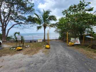 Private driveway with palm fencing leading to black sand beach Costa Esmeralda Panama