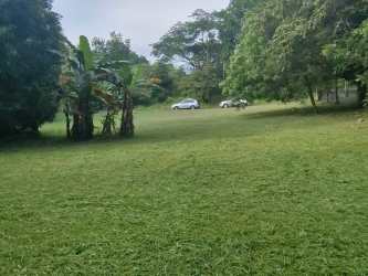 Flat grassy land with mature trees in Bejuco Chame for sale Panama Oeste