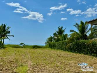 Green beachfront lot lined with palm trees at Barqueta Nice Chiriquí Panama
