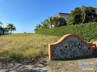 Grassy beachfront lot ready to build with Pacific Ocean view Barqueta Nice Panama