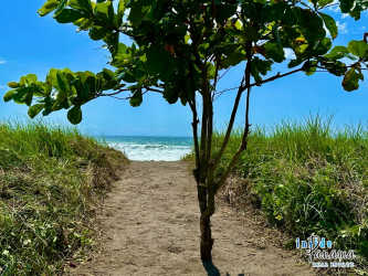 Sandy beach path leading to Pacific Ocean at Playa Barqueta Chiriquí Panama