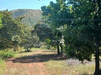 Hiking trail lined with lush trees in El Guzman Valley Coclé Panama