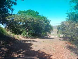 Green wooded trail within rural lot of El Guzman Coclé Panama