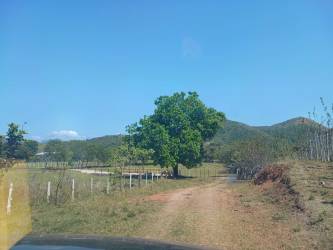 Dirt road by fenced pasture in countryside of El Guzman Panama