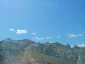 Virgin countryside with trees, grass and blue skies El Guzman Country Estates Panama