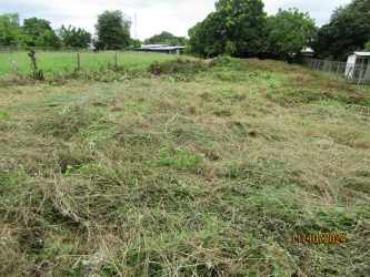 Vacant grassy land with scattered trees and fences Belisario Porras Las Tablas Los Santos Panama