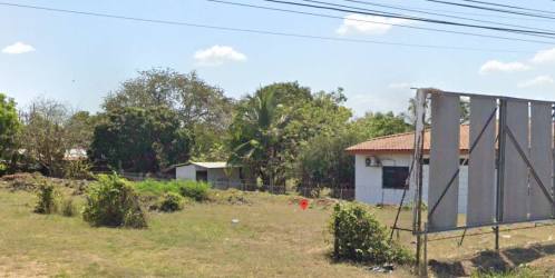 Vacant lot with cleared grassy land bordered by trees Belisario Porras Las Tablas Panama