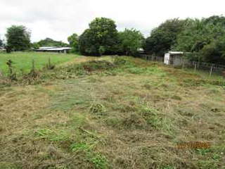 Land for Sale in Pedasi - 0 bedrooms