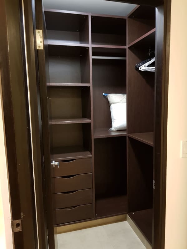 Dark wood built-in walk-in closet with storage drawers, hangers and lighting in Embassy Village