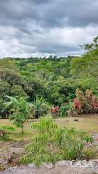 Lush mountain forest landscape in Chiriquí Panama surrounding eco-hostel property