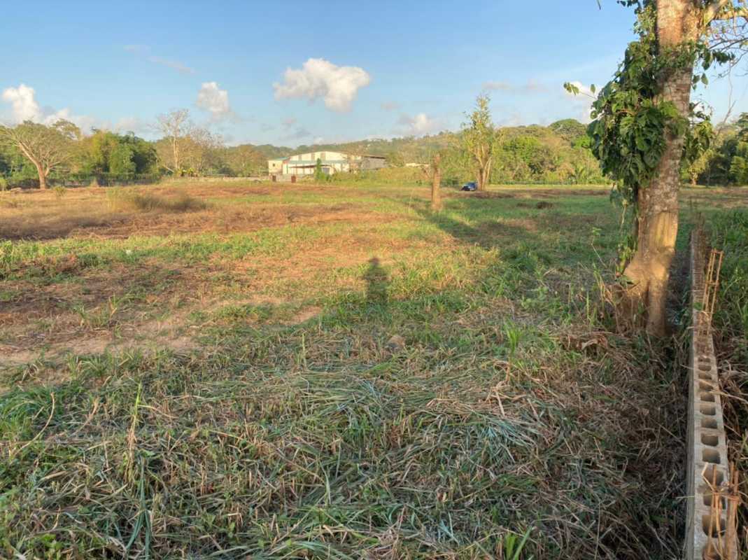Vacant fenced grassy lot with partial walls ideal for industrial projects near prominent highways