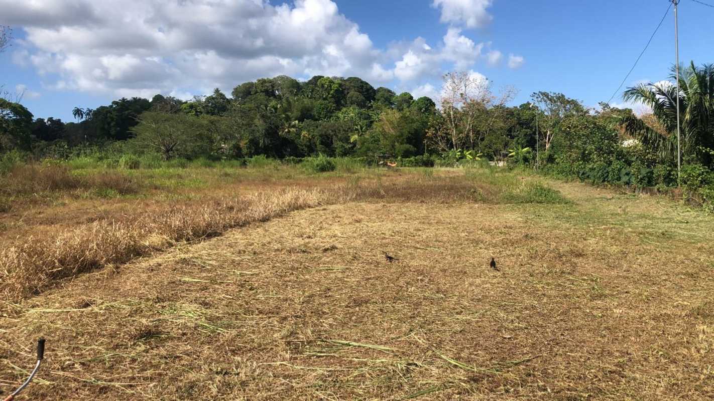 Industrial Commercial Land 7.7 Hectares Chilibre Between Panama-Colón