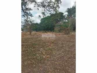 Wide untapped property with trees and grass suitable for development in Panama Oeste