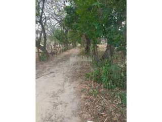 Land for Sale in Cabuya - 0 bedrooms