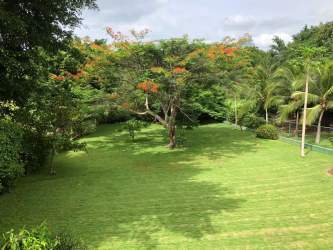 Large tropical garden with mature trees in fenced yard Coronado house for sale