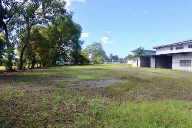 Spacious green open space with mature trees and storage on sale in David, Panama