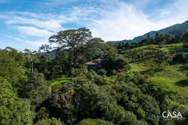 Secluded property with dense green forest and mountain backdrop in upper Jaramillo, Boquete
