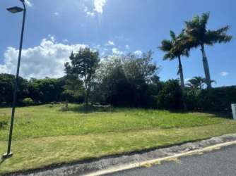 1,500 m2 residential lot in PH Hacienda Pacifica with green grass and palm trees under blue sky