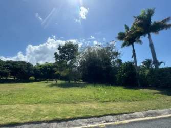 Open residential lot with palm trees in a tropical setting Hacienda Pacifica San Carlos