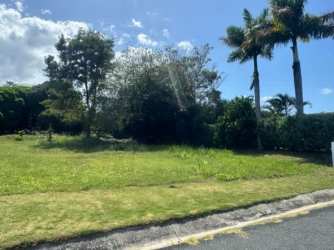 Open grassy residential lot for sale in PH Hacienda Pacifica with mountain views in San Carlos Panama