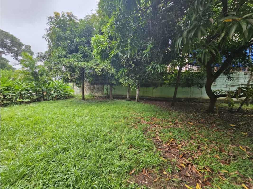Backyard with mature trees and fence commercial building for sale near Parque Omar Panama