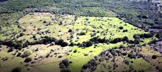 Flat fenced land area with small building ideal for agriculture in Dolega Chiriqui Panama