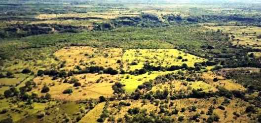 Undulating grass fields, trees, and distant mountains in rural farmland El Flor Dolega