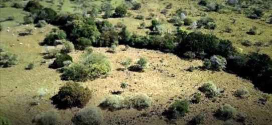 Grass fields with scattered trees under blue sky, ideal for farm or ranch in Panama