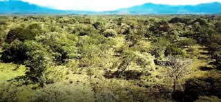 Land for Sale in El Flor - 0 bedrooms