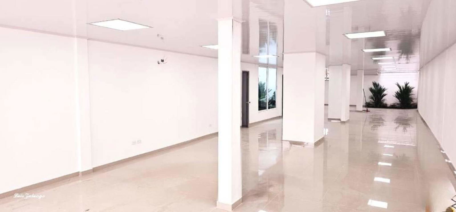 Large open commercial space with polished tile floors, support columns, window garden views at Plaza Chanis Panama City