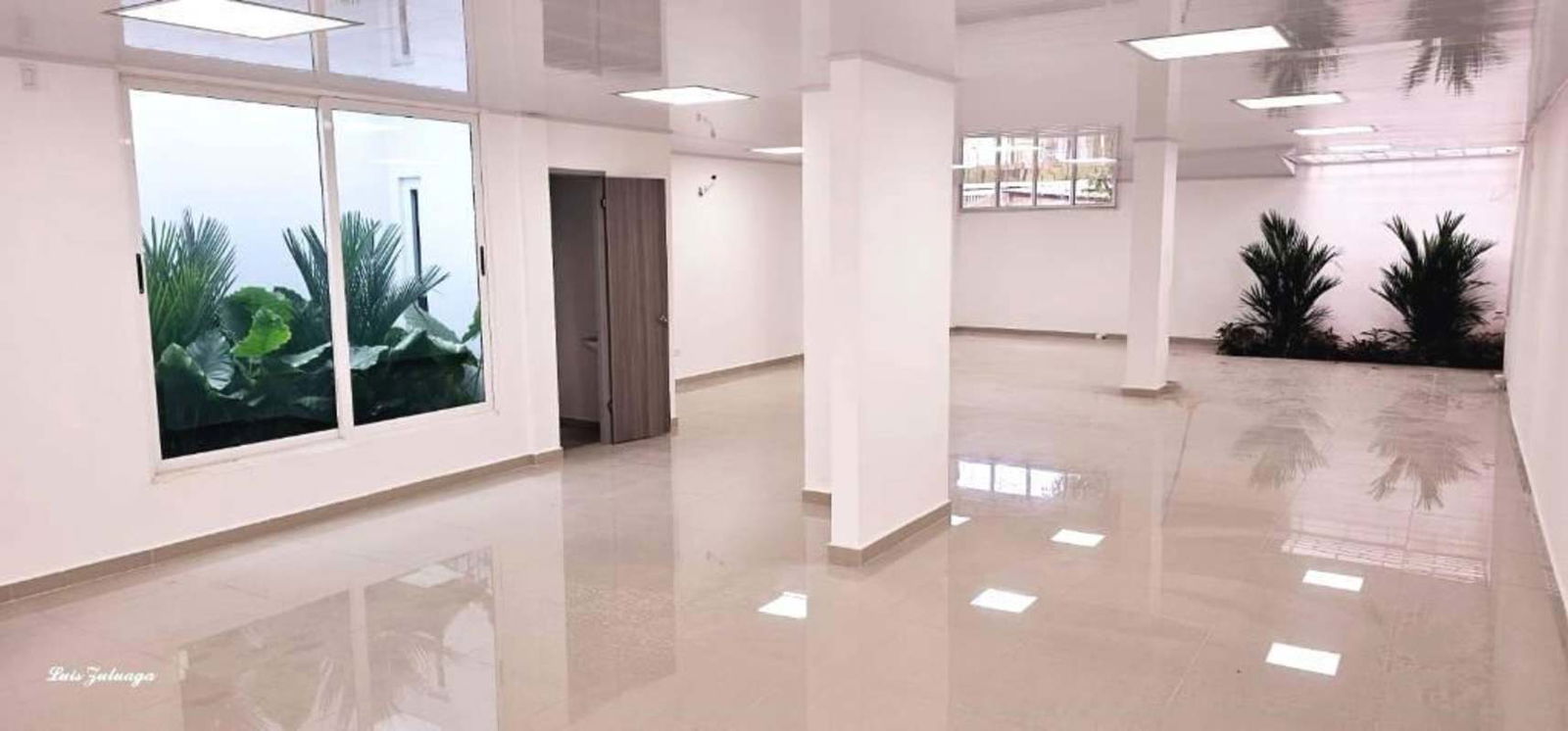 Contemporary interior with large window, plants, white walls and polished floors, ground floor Chanis commercial plaza