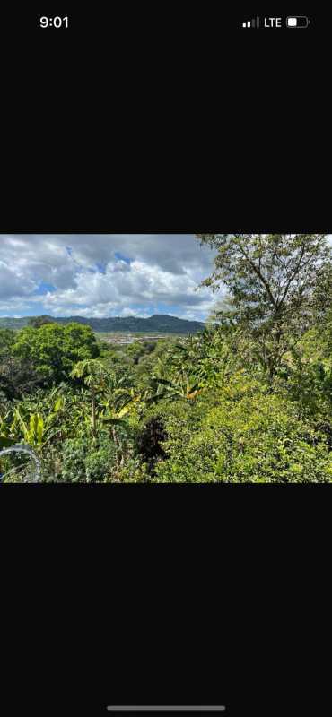 Natural landscape lot with dense forest, mountains in distance at Forestal Madden Chilibre Panama