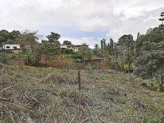 Land Lot for Sale in Arraiján - 0 bedrooms