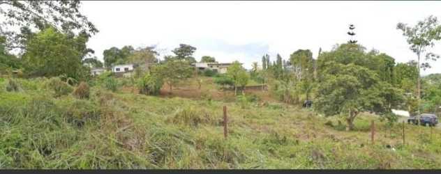 Green vacant lot with trees and slope ideal for construction in Panama Oeste