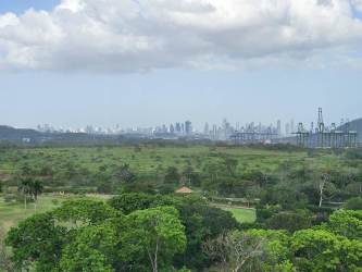 Lush greenery landscape and distant skyline from Forest Tower Tucan Panama Pacifico