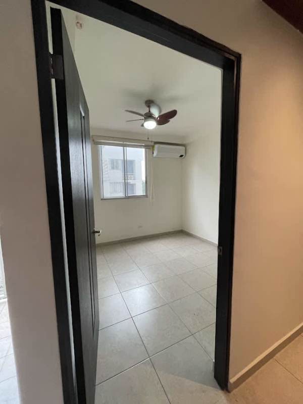 Contemporary kitchen with granite countertops, appliances, dark cabinetry in PH 12 de Octubre