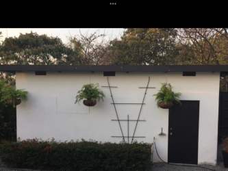 Private pool area with palm trees lush tropical landscaping villa Panama