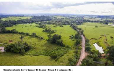 Country road borders farmland with trees, ponds, and open field La Chorrera Panama