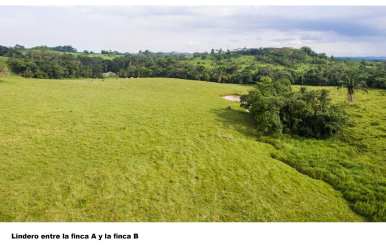 Farm boundary lines with scattered trees and water pond Las Mendozas Panama Oeste